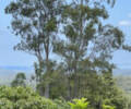 30 Panorama Dr, Doonan, QLD 4562 Australia