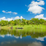 116 Lone Hand Rd, Eumundi, QLD 4562 Australia