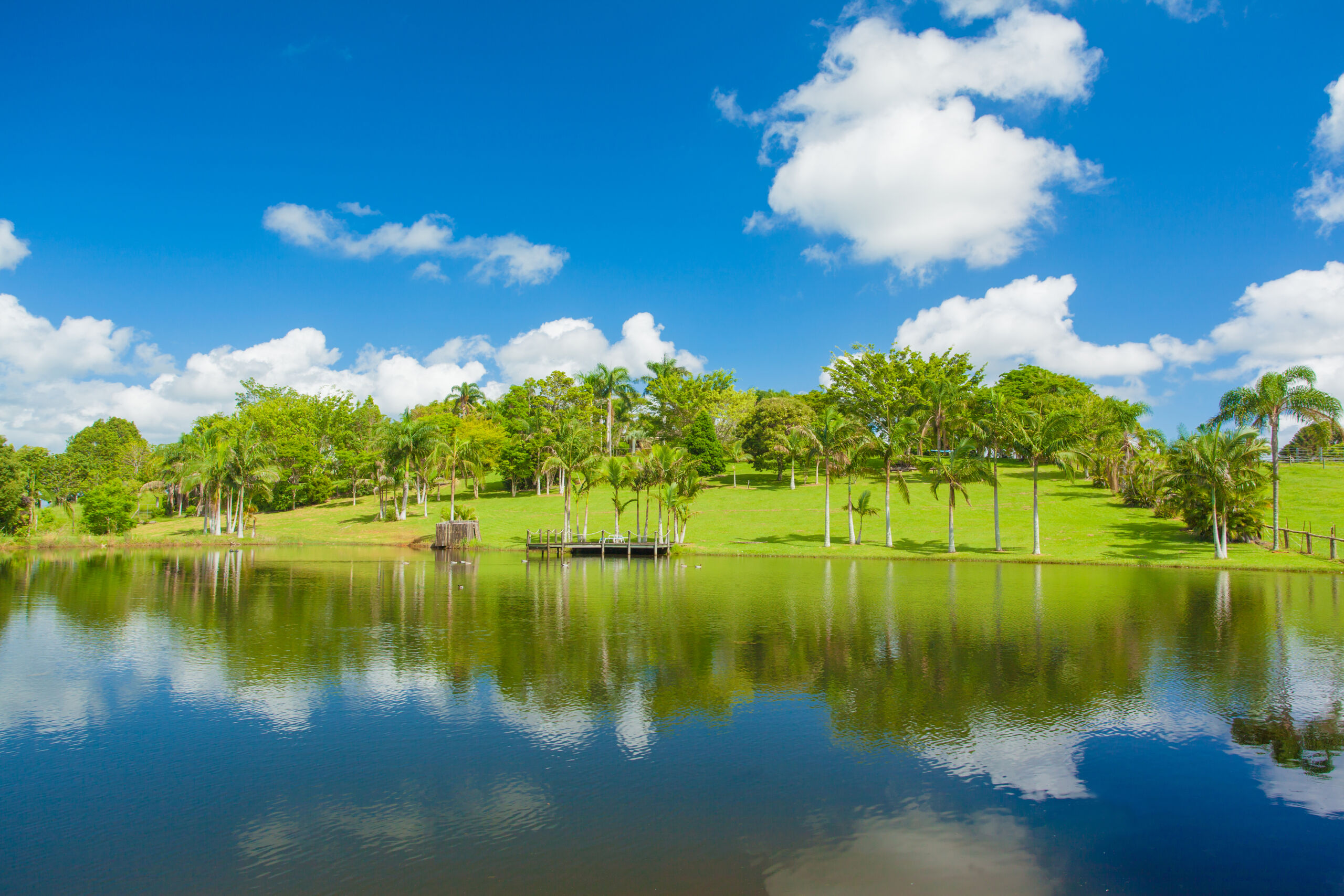 116 Lone Hand Rd, Eumundi, QLD 4562 Australia